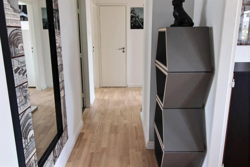 3 Pieces En Plein Centre De Strasbourg Apartamento Exterior foto